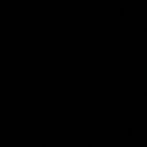 Meet your Posher, Myles